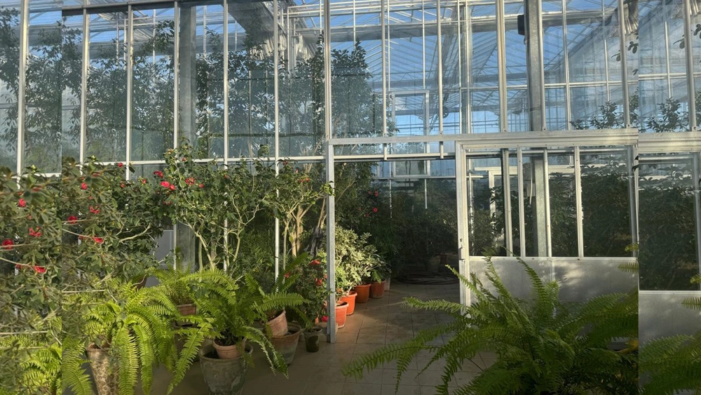 Jubileu de 50 de ani la Grădina Botanică „Anastasie Fătu” din Iași. Au început pregătirile pentru semicentenarul expoziției de plante exotice de anul acesta