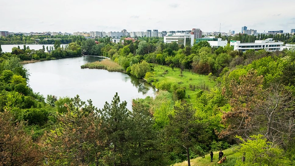Parcul Natural Văcărești – Iată de ce este atât de deosebit, este un adevărat ecosistem sălbatic în inima orașului