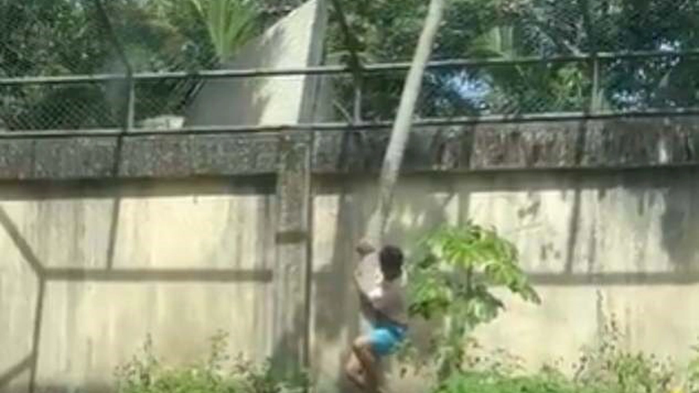 El este adolescentul care a fost ucis de o leoaică la grădina zoologică! Băiatul avea probleme de sănătate mintală!