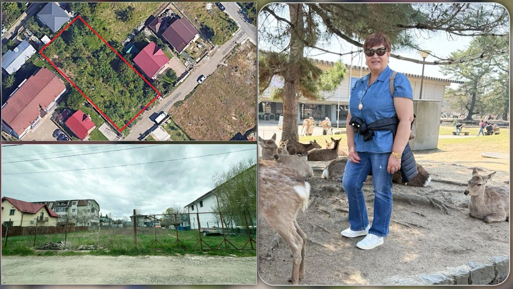 Maria Popovici construiește case cuplate în Iași! Jupâneasa contractelor semnate cu statul a primit, în ultimii ani, peste 14 milioane de lei din bani publici