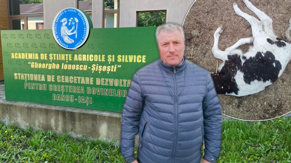 Acuzații de natură penală la Stațiunea de Cercetare-Dezvoltare pentru Creșterea Bovinelor Dancu din Iași. Reclamațiile au ajuns până la Guvern