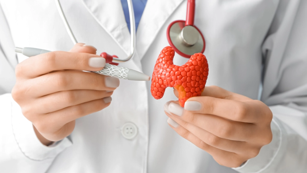 Cât de important este sistemul endocrin? Iată ce afecțiuni pot apărea și cum îl poți proteja!
