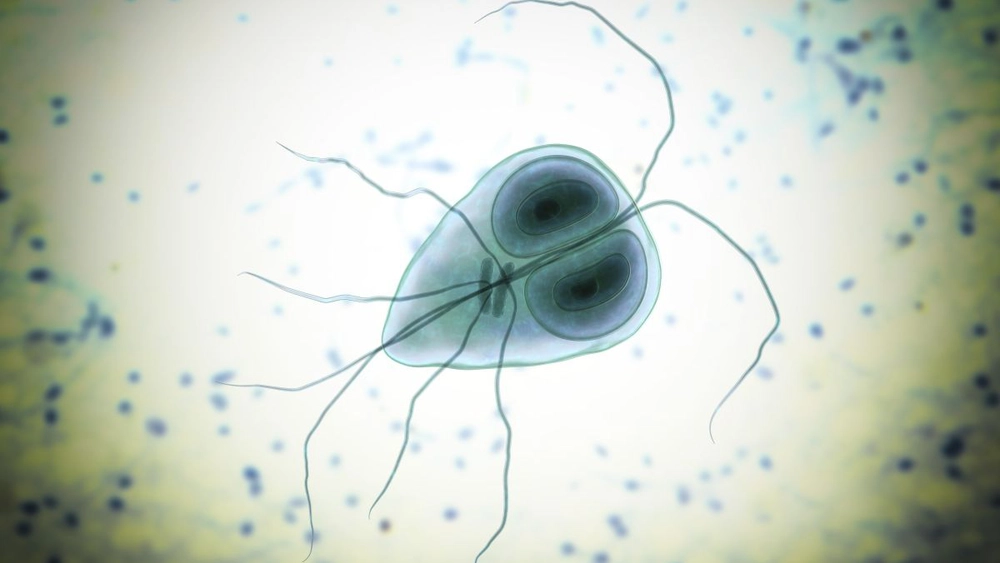 Tratament cu doză unică pentru infecția cu Giardia – Dr. Daniela Bartoș explică cum poți scăpa de parazit!