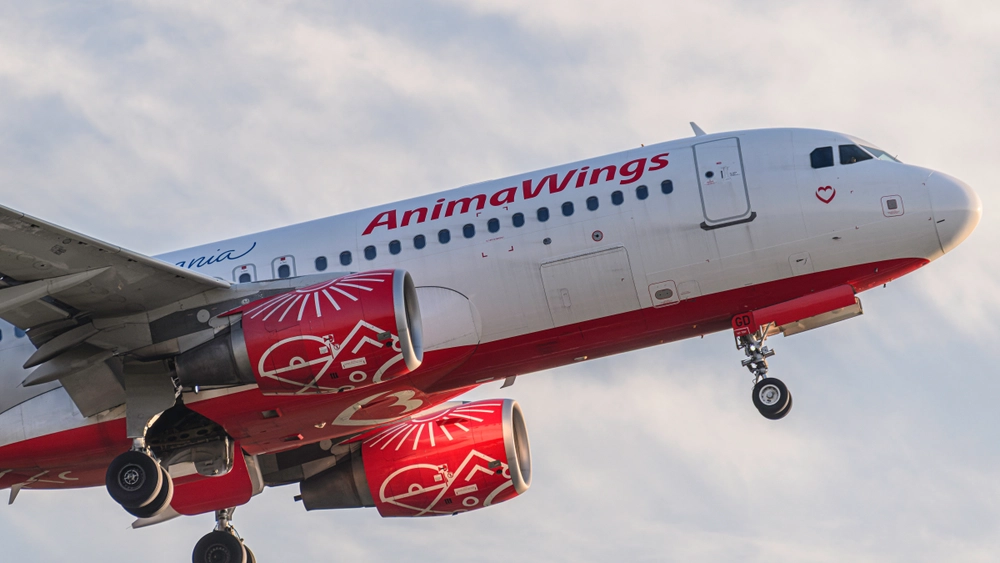 Noi informații despre AnimaWings, compania care tocmai a decis să oprească o mare parte din avioanele cu care zbura. Mii de procese doar în ultima lună