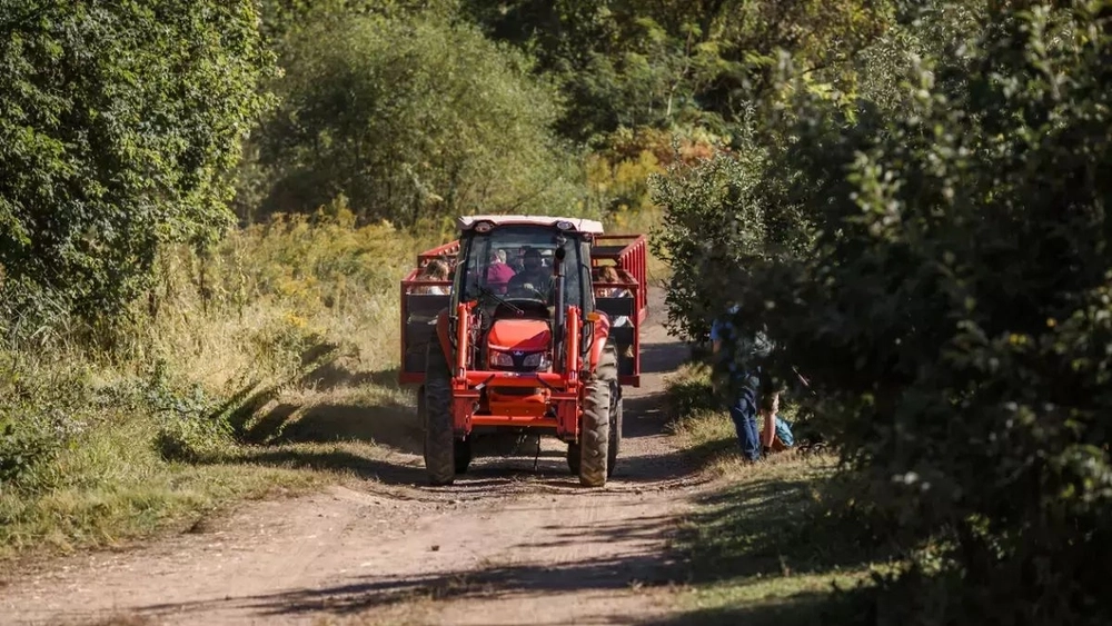 Când primesc fermierii din Iași banii pentru motorină, trimestrul II. Vor încasa sumele cuvenite doar jumătate dintre beneficiari