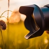 Macro photography: cum să surprinzi detalii incredibile cu obiectivul potrivit?