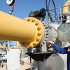 Românii plătesc pentru ca austriecii să aibă gaz ieftin! România vinde cu 40% mai ieftin în Austria