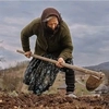 100.000 de lei amendă a primit un român că a făcut un lucru banal în propria curte