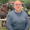 Moartea calului Falko zguduie opinia publică. Cazul a fost analizat de specialiștii DSVSA Iași. Dr. Cosmin Radu: „Proprietarul l-a suprasolicitat. Totul, pentru a câștiga acel concurs”