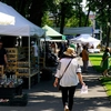 Primăria Municipiului Iași va cheltui 16.000 de lei pentru Târgul de ceramică tradițională „Cucuteni 5000” și Festivalul de Fanfare