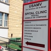 Spitalul Veterinar de la USV Iași are nevoie de sânge. Medicii îi roagă pe ieșeni să aducă câinii la clinică pentru recoltare! Gestul aduce o mulțime de beneficii