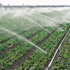 Proprietarii de terenuri agricole nu mai pot folosi apa fără autorizație! Unde se aplică legea 
