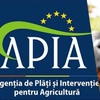 Termenul pentru depunerea cererilor la APIA a fost prelungit până pe 13 iunie 2025