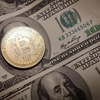 În T2 din 2025, BTC pare mai stabil decât Bursa de Valori sau USD – Ce urmări poate avea această schimbare