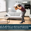 Scapă de gândaci cu ajutorul pământului de diatomee: soluția naturală și eficientă