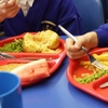 Două firme din Iași vor să livreze mâncarea la Școala Gimnazială „George Coșbuc”! Contractul de catering depășește 1 milion de lei