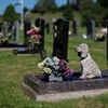 A apărut un nou tip de cimitire în România! Tot mai mulți cetățeni vor să dețină un loc