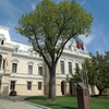 Primăria Municipiului Iași va deconta mai multe ședințe de consiliere pentru persoanele cu autism