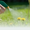 Erbicidul potrivit – cum alegi corect soluția pentru combaterea buruienilor