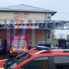 Cel puțin un pacient ajunge zilnic la UPU „Spiridon” Iași din cauza alergiilor! Prof. dr. Diana Cimpoeșu: „Cele mai frecvente sunt alergiile la medicamente și mâncare”