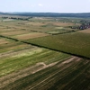 Crește valoarea creditelor garantate pentru fermieri. Ieșenii pot accesa „de 5 ori subvenția”