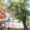 Studenții de la UAIC își pot alege deja locul de cazare pentru anul universitar 2025-2026. A început oficial perioada de pre-cazare
