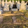 Lege nouă după moarte. Cum poți obține un loc de veci din cimitir. Prețuri incredibile