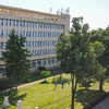 Tot mai mulți studenți internaționali aleg Facultatea de Medicină Veterinară USV Iași: creștere a numărului de înscrieri și transferuri academice