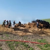 Incendiu în localitatea Boureni, comuna Balș. Pompierii intervin