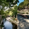 Voluntarii din Băile Herculane luptă cu hoții de flori și turiștii nepăsători: ”Așteptăm sprijin, dar mai ales bun simț”