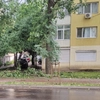 Intervenție pentru îndepărtarea unui copac în pericol de prăbușire în municipiul Iași