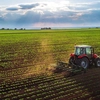 Două mari instituții vor fuziona! Fermierii avertizează: „Unificarea APIA și AFIR riscă să blocheze subvențiile și investițiile agricole”