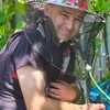 Intervenție promptă a pompierilor pentru a muta un roi de albine de pe un gard, în municipiul Iași