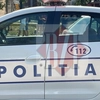 Interzis în România! Proprietarii riscă amenzi de 3.000 de lei dacă nu au aviz pentru adăposturi de animale