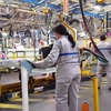 Uzina din România care oferă prime și bonusuri angajaților care își dau demisia! Vor fi înlocuiți de roboți și tehnologii avansate