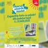 Expoziția de fotografii „Observă păsările Iașului”