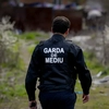 Comisarii de mediu avertizează, Garda Națională de Mediu este în colaps funcțional