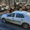 Activitatea Gărzii Forestiere Suceava în primele cinci luni ale anului 2025: controale, sancțiuni și confiscări în lupta cu tăierile ilegale de lemn