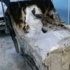 Dosar penal în tragedia de la ATI Piatra-Neamț! Două asistente și spitalul, trimise în judecată pentru dezastrul care a ucis 9 pacienți