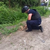 Misiune de asanare pirotehnică în comuna Miroslava, localitatea Valea Adâncă