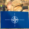 NATO a adoptat cel mai mare program de reînarmare de după Războiul Rece