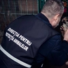 Caz șocant la Pașcani! Un câine a murit, după ce a fost aruncat de la etaj de un tânăr