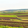 Toți proprietarii de terenuri au nevoie de acest certificat de la primărie! Se plătește și o taxă obligatorie