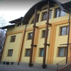 Amenzi și plângeri penale pentru tăieri ilegale de lemne la Iași. Tot mai multe reclamații împotriva hoților