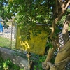 Țeavă de gaz avariată în Iași! Pompierii au intervenit prompt pentru prevenirea unui incendiu