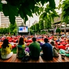 Experiențe pentru întreaga familie în Iulius Town: filme sub cerul liber, șah și diversitate culturală din toată lumea