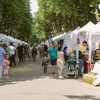 Trei zile de arome, tradiție și savoare în inima Moldovei! Ce surprize îi așteaptă pe pofticioși la final de săptămână