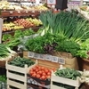 Producătorii români dădeau mită pentru ca marfa lor să fie acceptată de marile lanțuri de retail