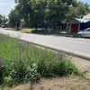 Consiliul Județean Iași începe procedura de expropriere! Oamenii nu știu că vor rămâne fără o parte din terenuri