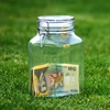 Cum putem ieși din criza economică! Măsuri urgente pentru salvarea României